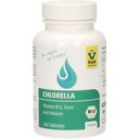 Raab Vitalfood Chlorella Tabletten Bio - 200 Tabletten