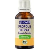 HOYER Ekstrakt propolisa brez alkohola Bio