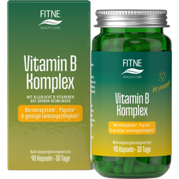 FITNE Health Care Vitamin B Komplex - 90 Kapseln