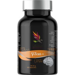 Carnium Botanicals Focus+ - 60 Kapseln