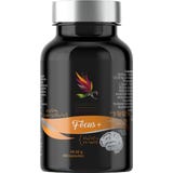 Carnium Botanicals Focus+
