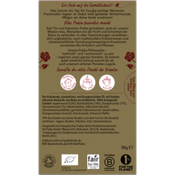 Pukka Téli öröm bio gyógytea - 20 darab