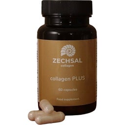 Zechsal Collagen PLUS - 60 Kapseln