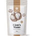 MycoWay Lion's Mane v prahu - izvleček 12:1 - 100 g
