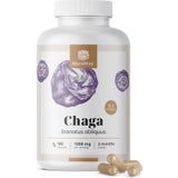 MycoWay Chaga 1000 mg - Extrakt 5:1