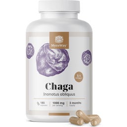 MycoWay Chaga 1000 mg - Extract 5:1 - 180 capsule
