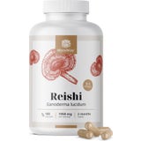 MycoWay Reishi 1950 mg - Extrakt 5:1