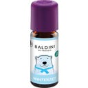 TAOASIS Baldini Tuoksusekoitus Talven Aika - 10 ml