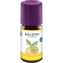 TAOASIS Baldini Duftmischung Zitrusgarten - 5 ml
