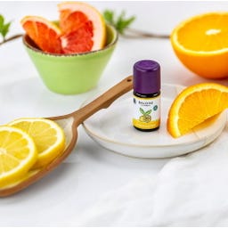 TAOASIS Baldini Duftmischung Zitrusgarten - 5 ml