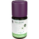 TAOASIS Duftmischung Polarzauber - 5 ml