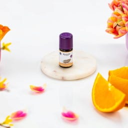 TAOASIS Baldini Duftmischung Wohlfühlduft - 5 ml