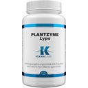 PlantZyme Lypo, 90 Kapseln
