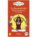 Bio Tee Lebensfroh – Kakao, Kardamon & Orange