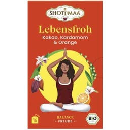 Bio Tee Lebensfroh – Kakao, Kardamon & Orange - 16 Teebeutel