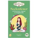Bio Tee Seelenfeuer - Echinacea, Ingwer & Hagebutte
