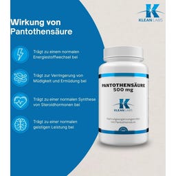 KLEAN LABS Kyselina pantothenová (B5) 500 mg - 100 kapslí