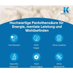 KLEAN LABS Kyselina pantothenová (B5) 500 mg - 100 kapslí