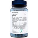Orthica Tri Zinc-25 - 