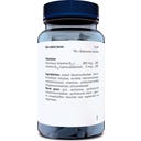 Orthica Folic Acid Foliumzuur - 800 - 120 tablets