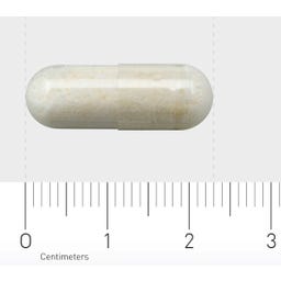 Orthica Orthiflor 50+ - 60 Kapseln