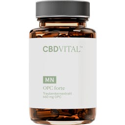 CBD VITAL OPC forte - 60 kapselia