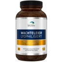 American Biologics Oeufs de Caille Lyophilisés - 360 gélules