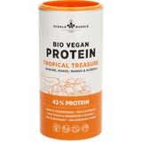 Schalk M&uuml;hle Organic Vegan Protein Tropical Treasure