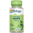 Solaray Hopfen Kapseln - 100 veg. Kapseln