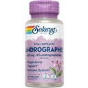 Solaray Ekstrakt z Andrographis (Kalmegh) - 60 kapsułek