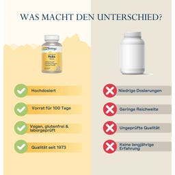 Solaray PABA - 100 Kapseln