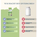 Solaray Schwarzer Knoblauch fermentiert - 50 veg. Kapseln