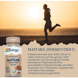 Solaray Maitake fermentiert - 60 veg. Kapseln