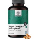 HealthyWorld Omega-3 Vegano 1100 mg - de Algas - 120 cápsulas blandas