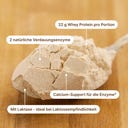 BRAINEFFECT WHEY DIGEST Protein - Vanille