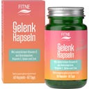 FITNE Health Care Gelenk - 60 Kapseln