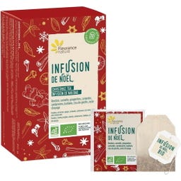 Fleurance Nature Organic Christmas Tea - čajové sáčky, 20 kusů