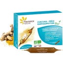 Fleurance Nature Kurkuma-Teufelskralle-Schachtelhalm Bio - 10 Ampullen
