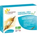 Fleurance Nature Kurkuma-Teufelskralle-Schachtelhalm Bio - 10 Ampullen