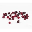 gefriergetrocknete Früchte - wilde Brombeere - 30 g