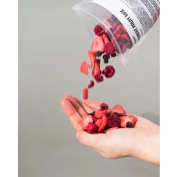 Vilgain gefriergetrocknete Früchte - Waldfrüchte - 45 g