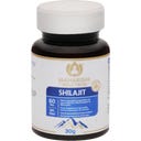 Maharishi Ayurveda Shilajit - 60 comprimidos