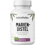 Naturtheke Mariendistel