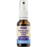 HOYER Manuka Honig + Propolis Spray BIO