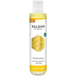 Baldini Spray per Ambienti 