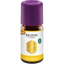 TAOASIS Baldini Mezcla Perfumada 
