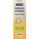HOYER Ekstrakt z propolisu bezalkoholowy bio - 30 ml