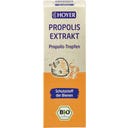 HOYER Propolis-uute Bio - 30 ml