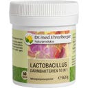 Lactobacillus 10in1 Bélbaktérium, 60 kapszula