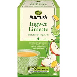 Alnatura Infusion Bio - Gingembre et Citron Vert - 20 sachets de thé